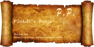 Pintér Petur névjegykártya